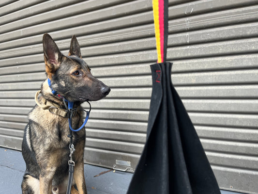 Training-Tips-Using-Tug-Toys-with-Large-and-Strong-Dogs BigDogThings.com.au