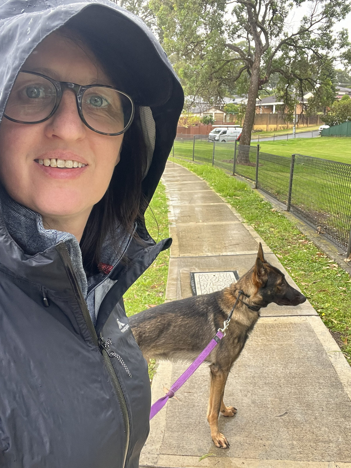 BDT Training – Three-Session Package Big Dog Things