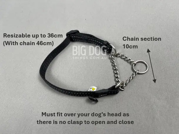 Training Collar with Chain Segment – Medium Size
