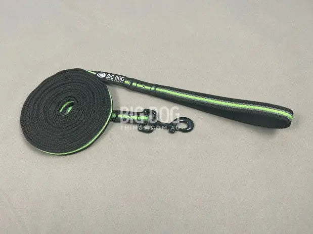 Long Lines for Dog Training – 10m leash for recall and obedience work