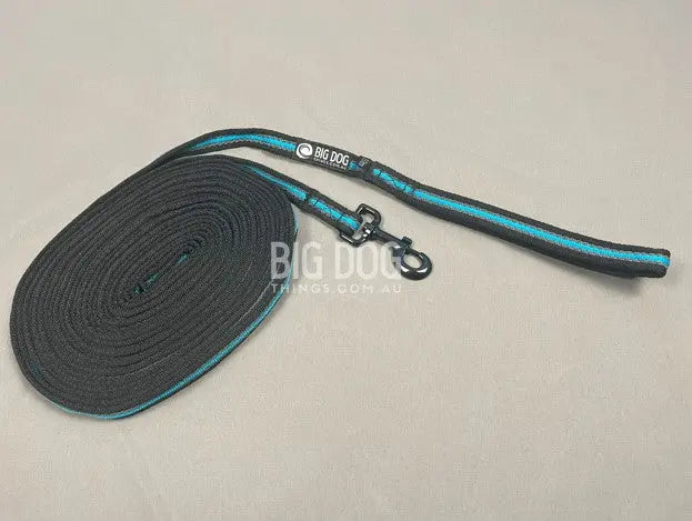 Long Lines for Dog Training – 10m leash for recall and obedience work