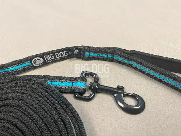 Long Lines for Dog Training – 10m leash for recall and obedience work
