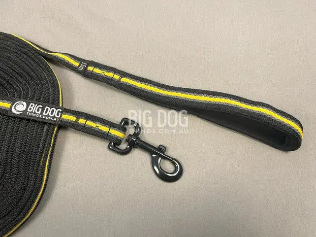 Long Lines for Dog Training – 10m leash for recall and obedience work