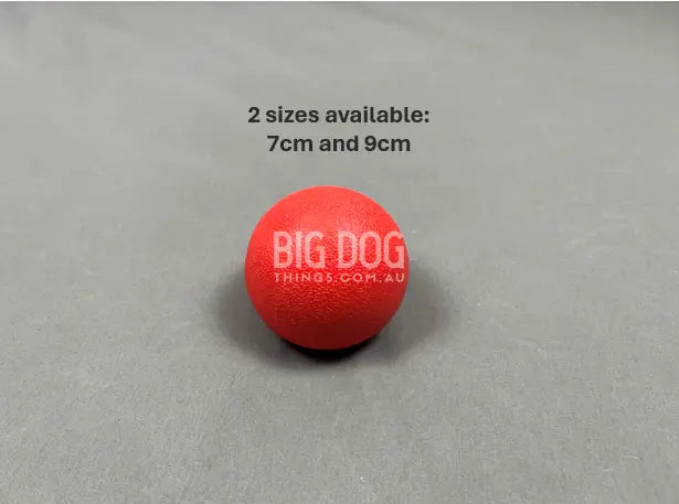 Hard Ball for Large Dogs BigDogThings.com.au