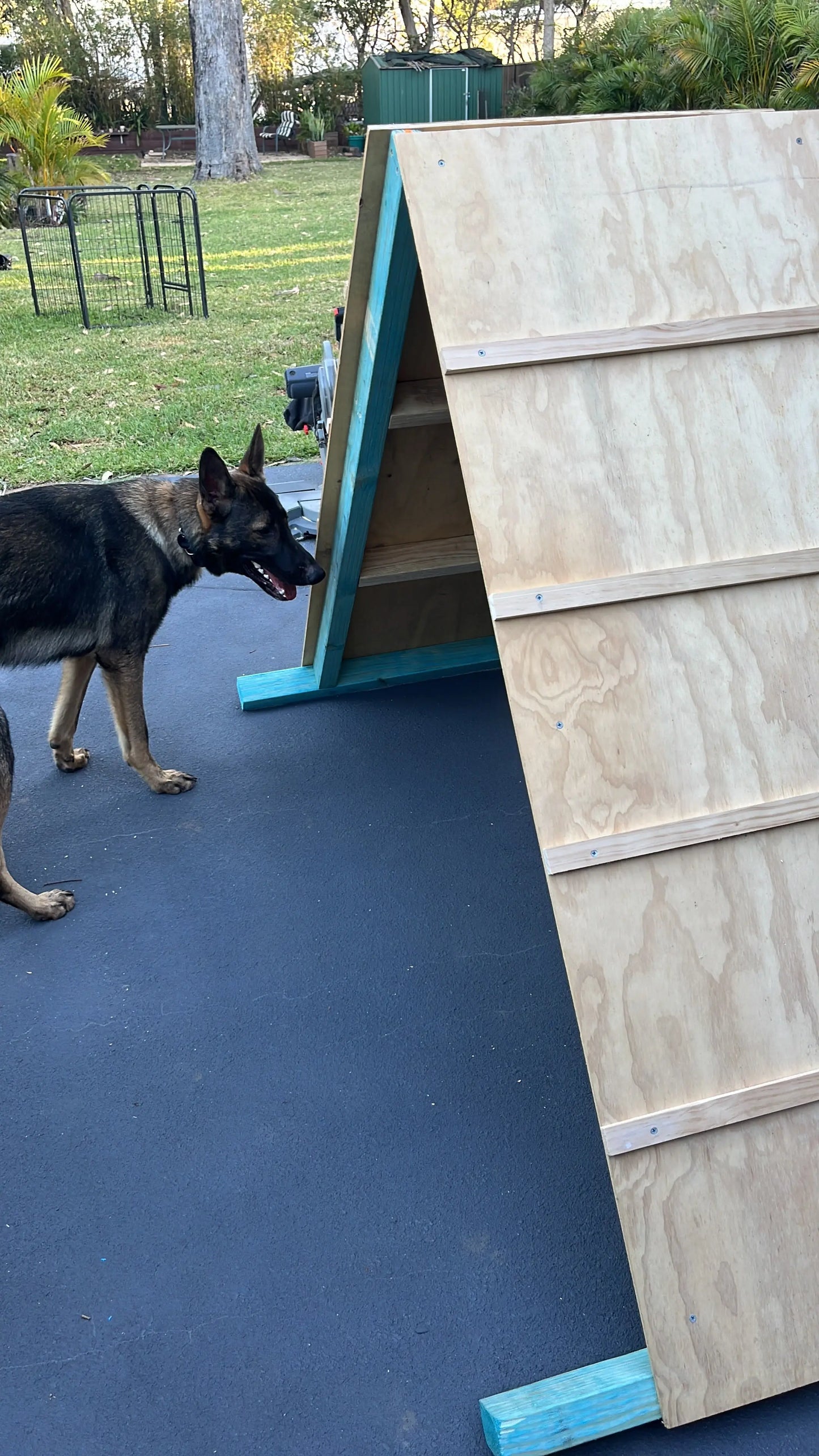 Agility set for dogs including hurdles and training equipment