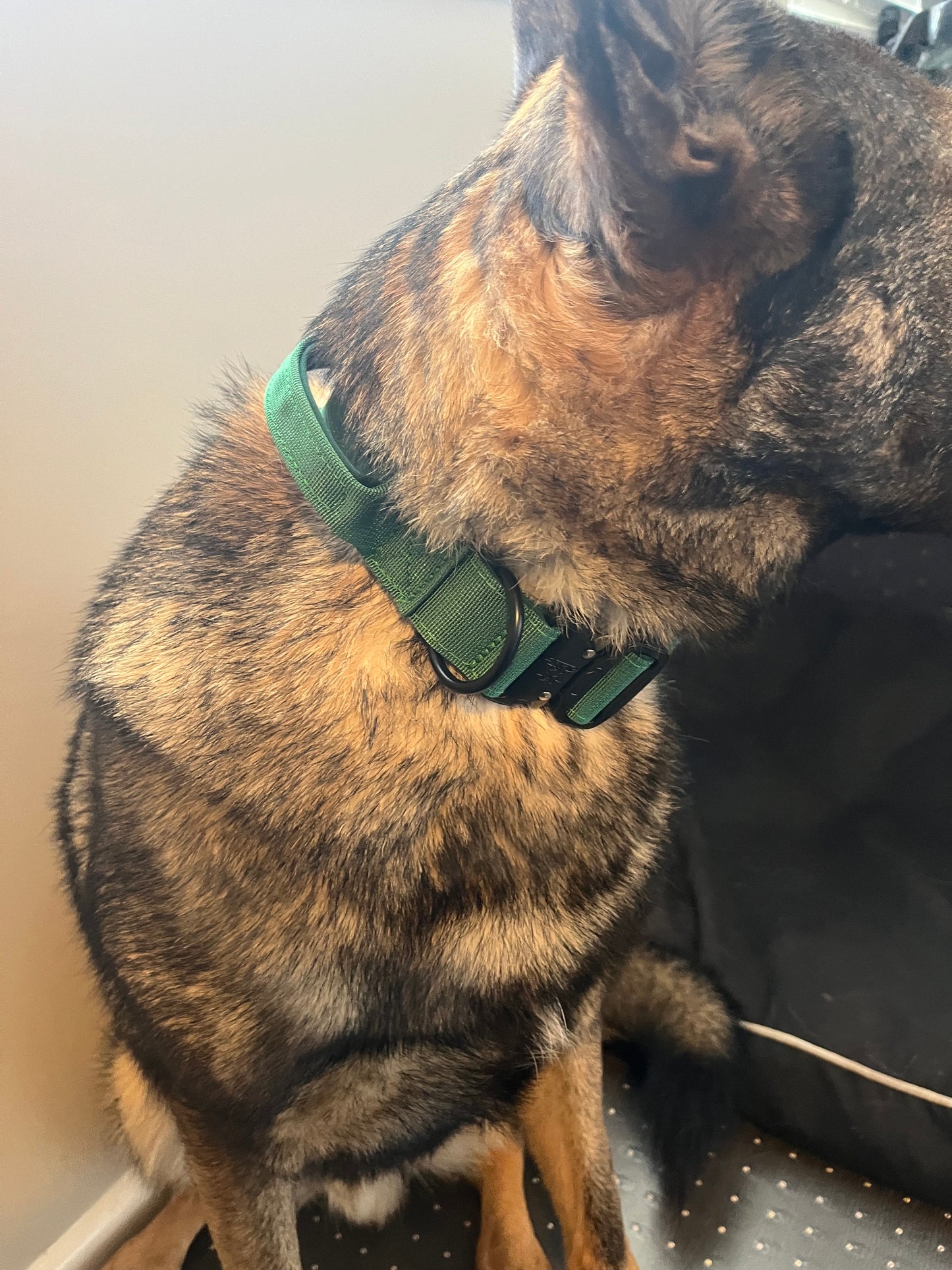 Tactical Dog Collar BigDogThings.com.au