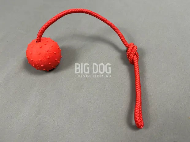 Hard Red Ball on a Rope – Durable tug toy for large dogs, perfect for fetch and training