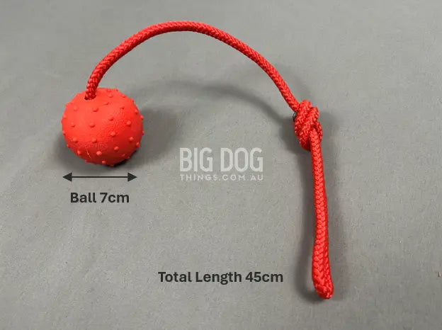 Hard Red Ball on a Rope – Durable tug toy for large dogs, perfect for fetch and training