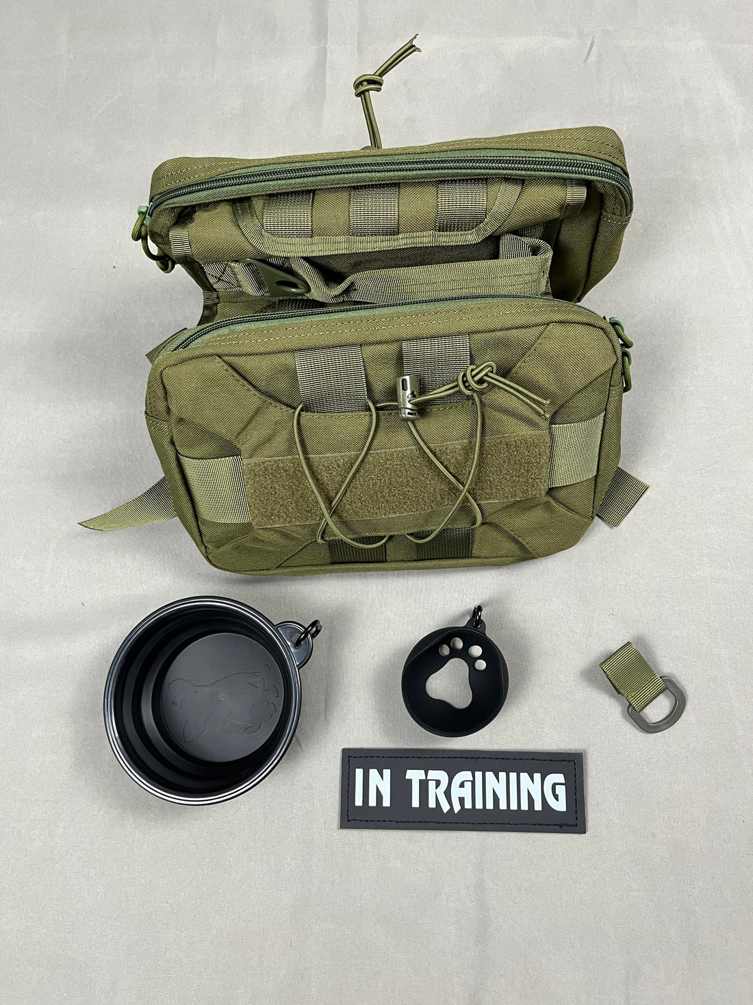 What to Pack for a Day Out with Your Big Dog?