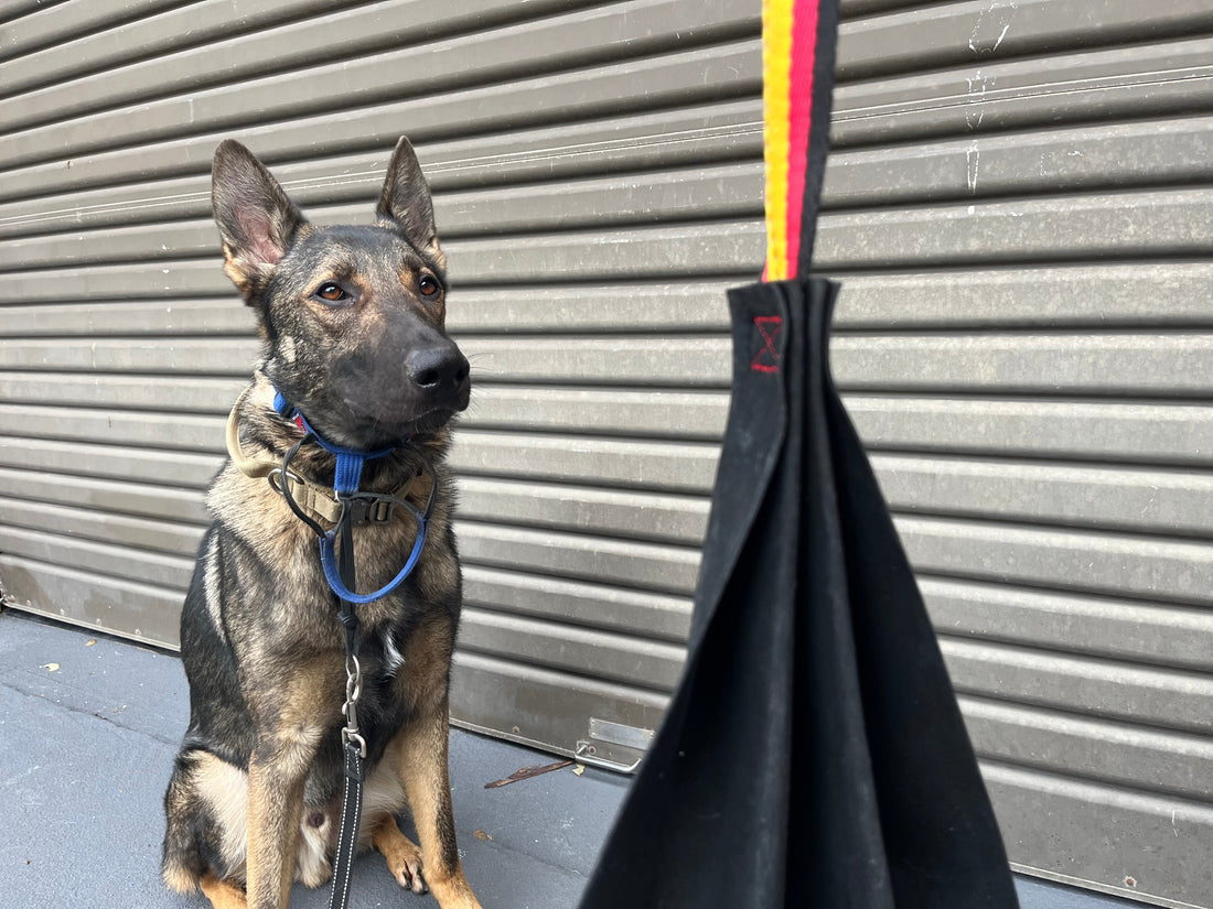 How to Play with Our Ripstop Tug Toy: Fun, Safe Tug Sessions for Big Dogs