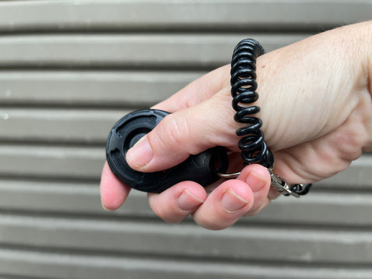 How-to-Use-a-Clicker-in-Dog-Training-A-Practical-Guide-for-Big-Dogs BigDogThings.com.au