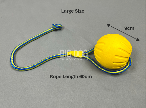 Yellow Ball on a Rope