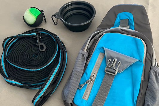 Dog walking essentials including a blue and gray backpack, leash, bowl, and ball on a light surface.