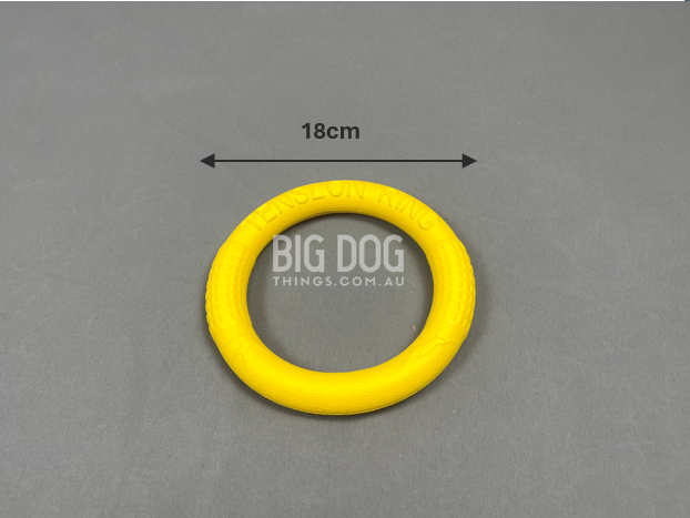 Yellow Frisbee