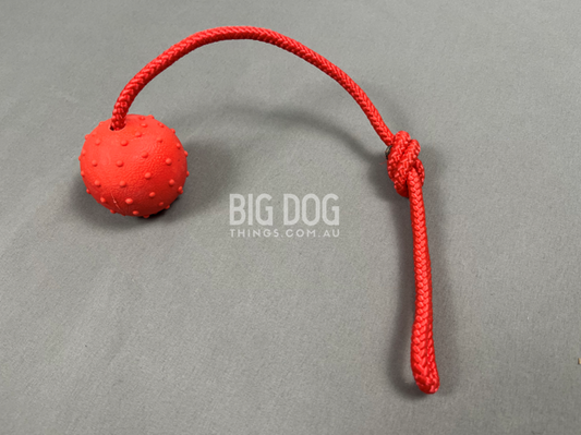 Hard Red Ball on a Rope – Durable tug toy for large dogs, perfect for fetch and training