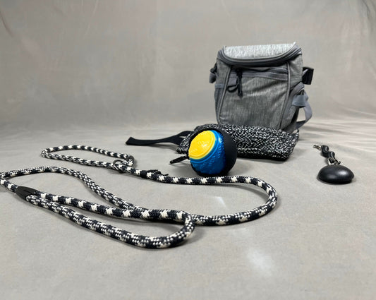 Training Starter Bundle BigDogThings.com.au